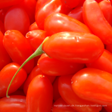 Getrocknete Frucht Getrocknete organische Goji Beere Goji